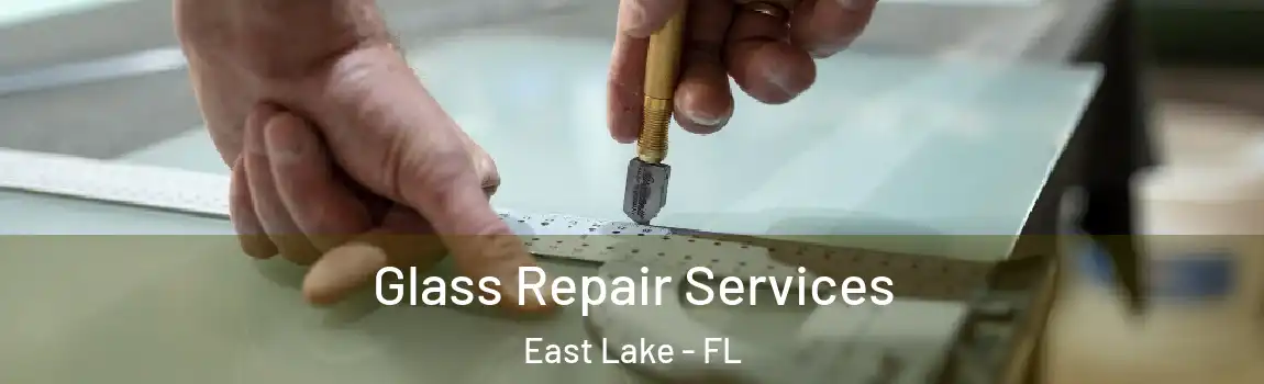  Glass Repair Services East Lake - FL